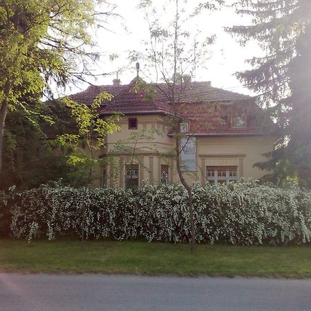 Villa Ricz Палич Екстер'єр фото