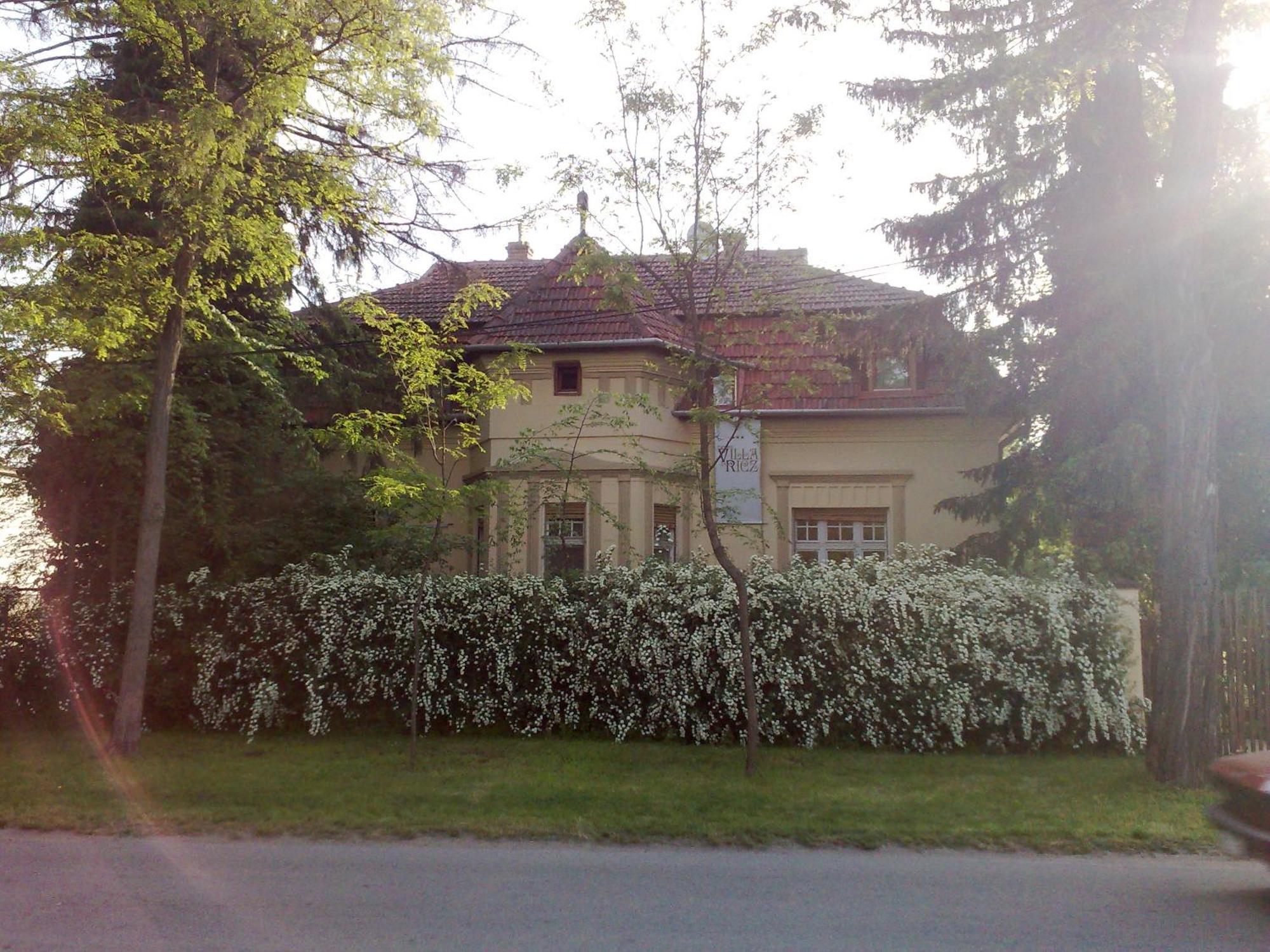 Villa Ricz Палич Екстер'єр фото