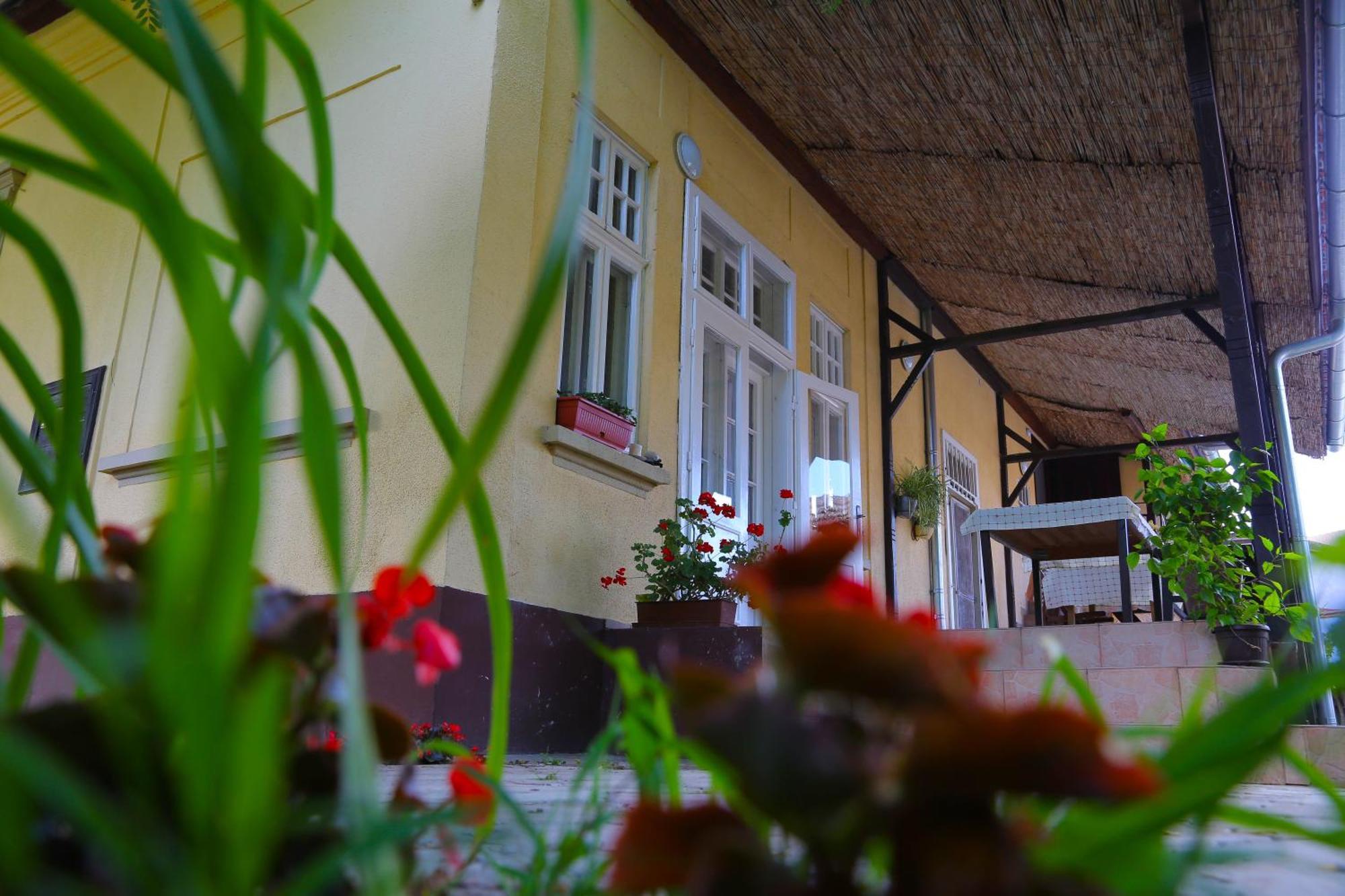 Villa Ricz Палич Екстер'єр фото