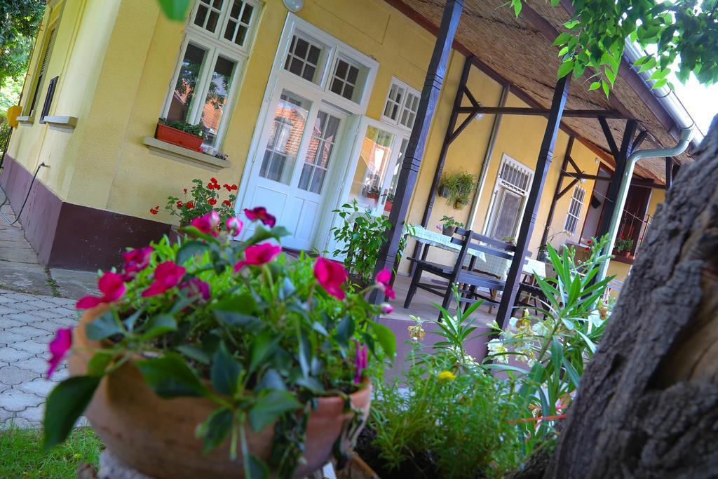 Villa Ricz Палич Екстер'єр фото