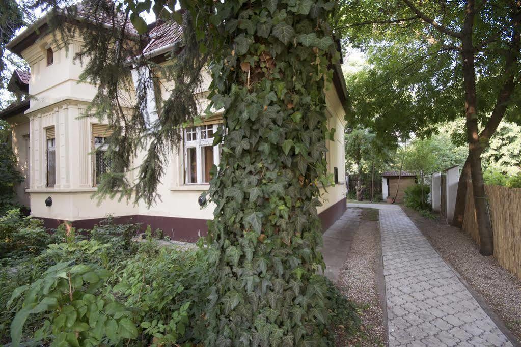 Villa Ricz Палич Екстер'єр фото