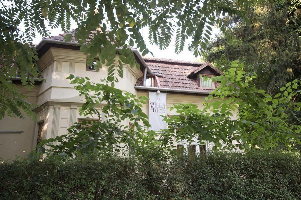 Villa Ricz Палич Екстер'єр фото